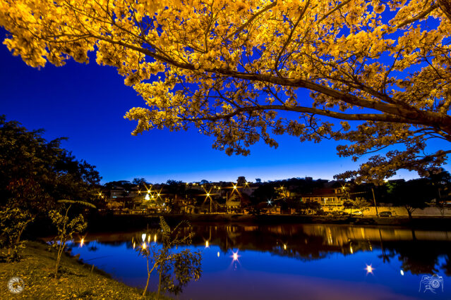 O lago reflete o degradê do céu e as luzes das casas e do outro lado do lago. Na parte de cima da imagem, os galhos de uma árvores estão iluminados pela flash da máquina fotográfica.